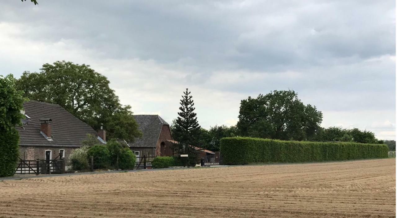 Land-ruhe Apartment *